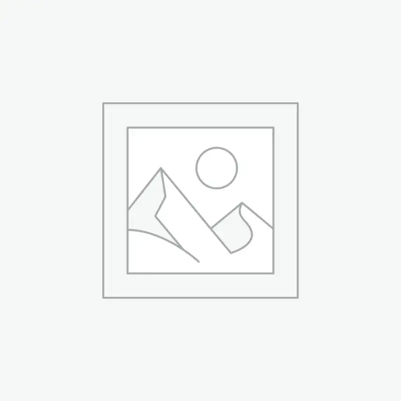 Forest After the Rain